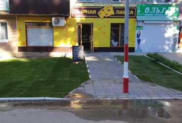 Укладка газона Укладка газона